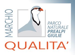 Logo Parco naturale prealpi Giulie