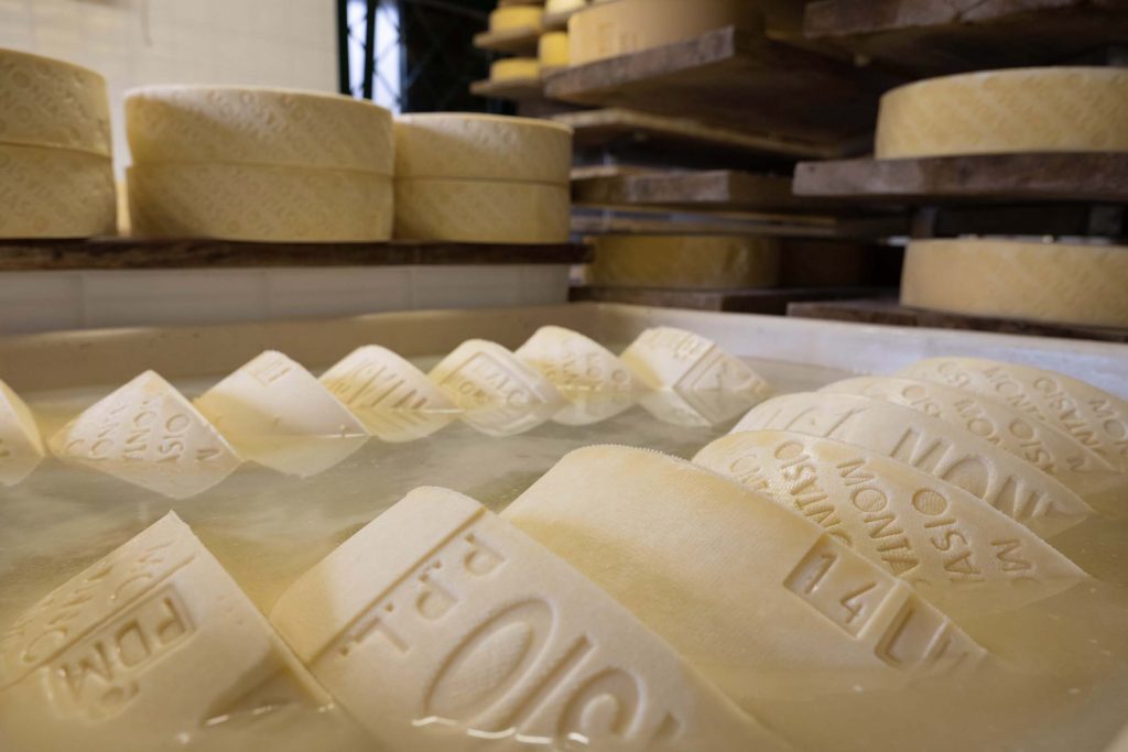 The processing of Montasio cheese